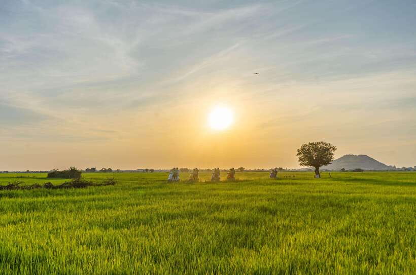 Siem Reap Countryside Sunset Vespa Tour or Tuk Tuk - Chreav Market: what to watch for during the 1-hour guided pause