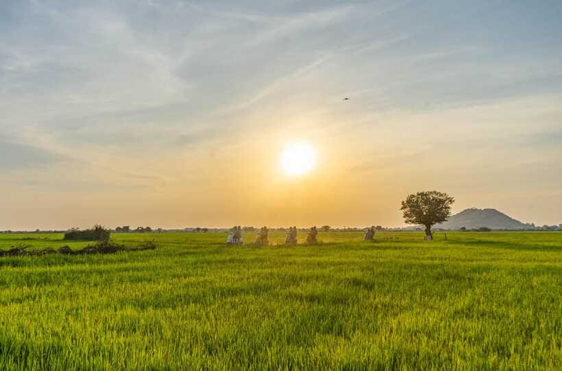 Siem Reap Countryside Sunset Vespa Tour or Tuk Tuk - Wat Po Banteaychey: a temple visit that adds meaning to the views