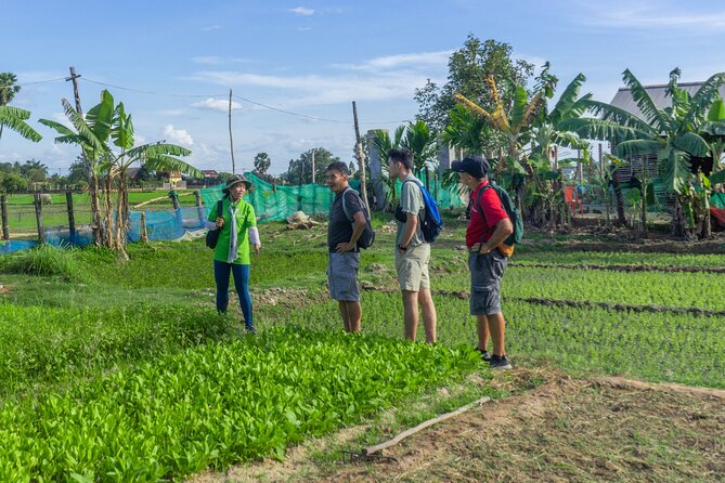 Siem Reap Countryside Sunset Vespa Tour / Tuk Tuk Available - Your Guide and Driver: When the Explanations Click