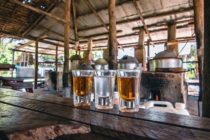 Siem Reap Countryside Sunset Vespa Tour / Tuk Tuk Available - What’s Included (and What You Should Still Plan For)