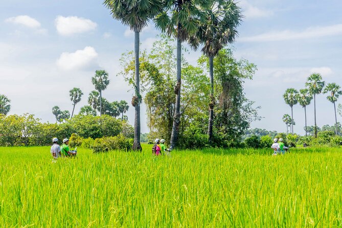 Siem Reap: Countryside Vespa Tour / Tuk Tuk Available - Rolling Out of Town: How the Countryside Tour Works in Real Life