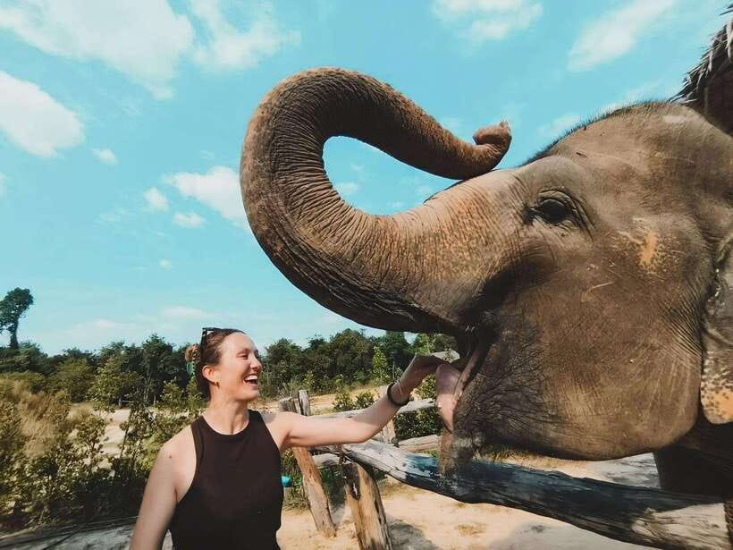 Siem Reap: Elephant Sanctuary Included Hotel Pickup Drop-off - Key highlights I’d plan around