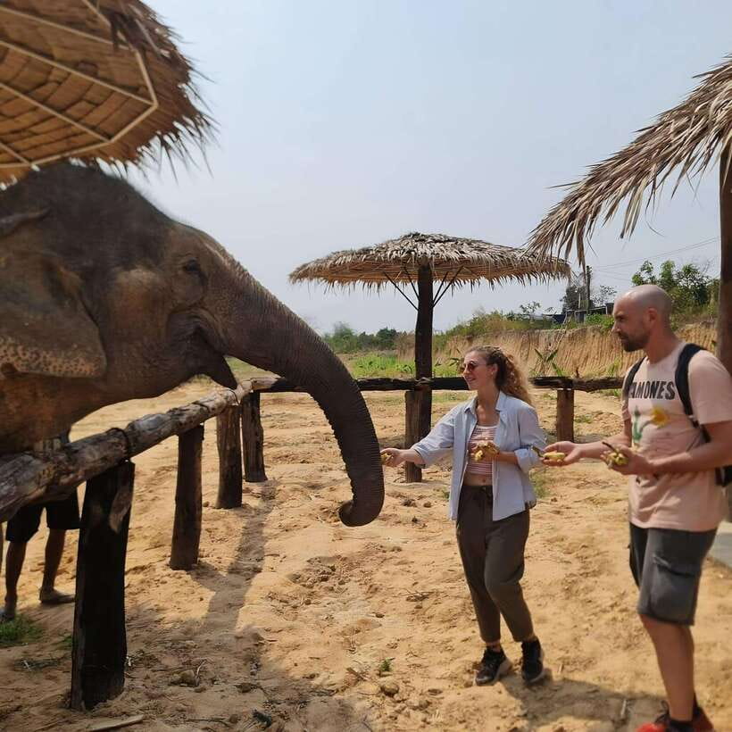 Siem Reap: Elephant Sanctuary Included Hotel Pickup Drop-off - Arriving at the Sanctuary: Guided Intro and Safety Briefing First