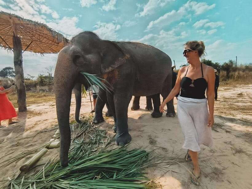 Siem Reap: Elephant Sanctuary Included Hotel Pickup Drop-off - Meal Prep and Feeding: More Than Just Tossing Food