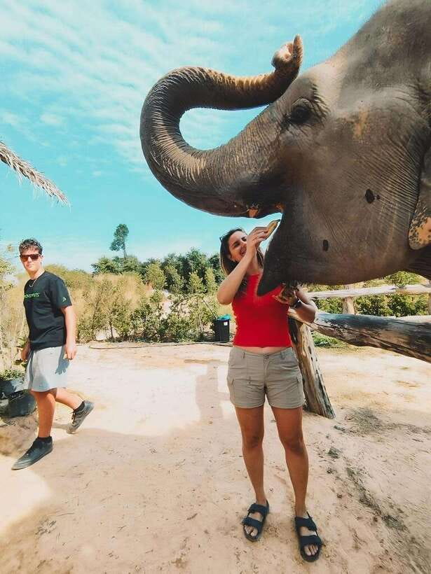 Siem Reap: Elephant Sanctuary Included Hotel Pickup Drop-off - Price and Value: What You’re Paying For in the $128 Rate