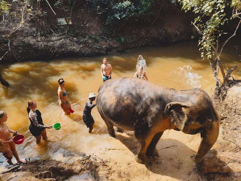 Siem Reap: Elephant Sanctuary Included Hotel Pickup Drop-off - What to Bring for Maximum Comfort (and Minimum Stress)