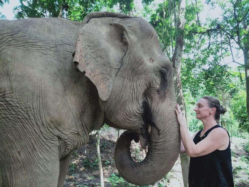 Siem Reap: Elephants & Apopo Rat Demining Private Trip - Key moments you’ll remember