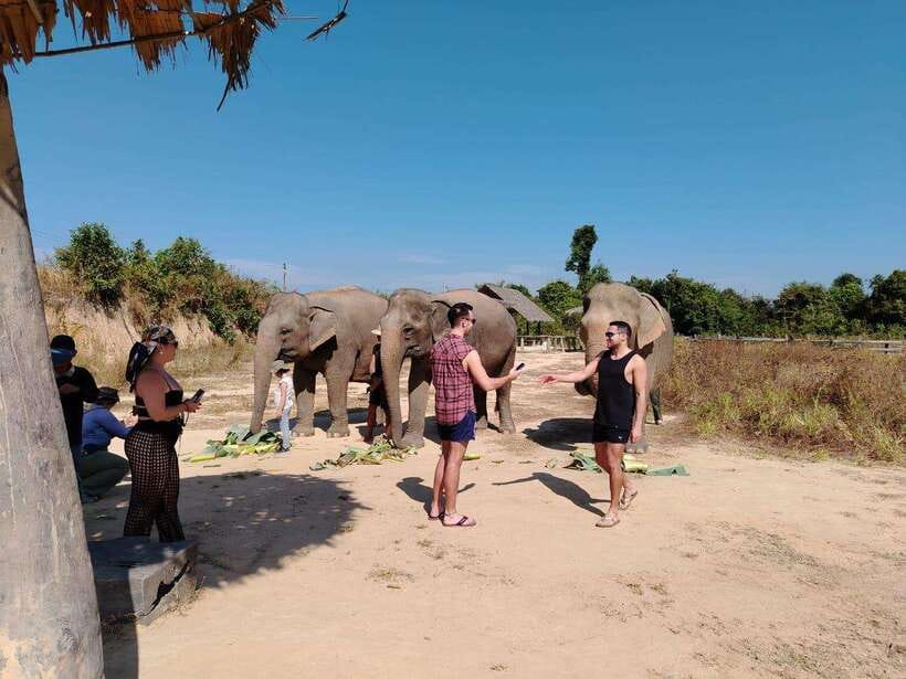 Siem Reap: Elephants & Apopo Rat Demining Private Trip - Watching Them Play and Wash: Pond Time, Mud, and River Washing