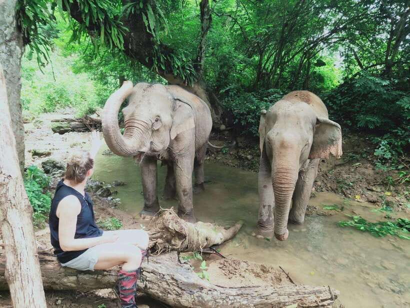 Siem Reap: Elephants & Apopo Rat Demining Private Trip - How the Hotel Pickup Shapes Your Day (and Keeps It Calm)