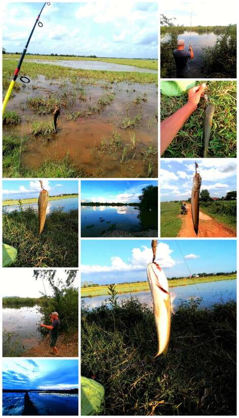 Siem Reap: Fishing in the rice fields, in the villages of Siem Reap - One thing to consider before you go