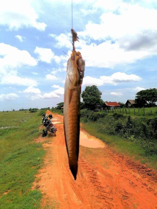 Siem Reap: Fishing in the rice fields, in the villages of Siem Reap - The market stop that actually explains local life