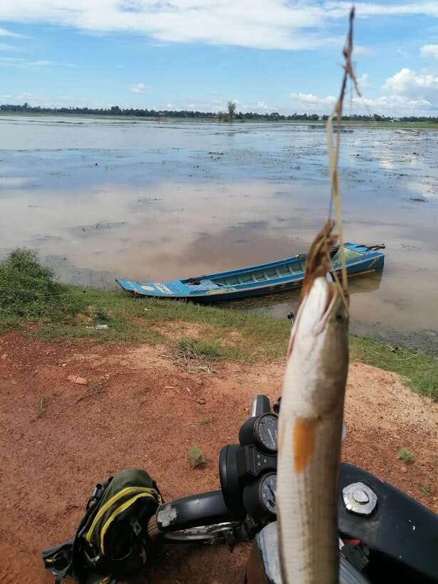 Siem Reap: Fishing in the rice fields, in the villages of Siem Reap - Dirt, heat, and wild animals: what you should plan for