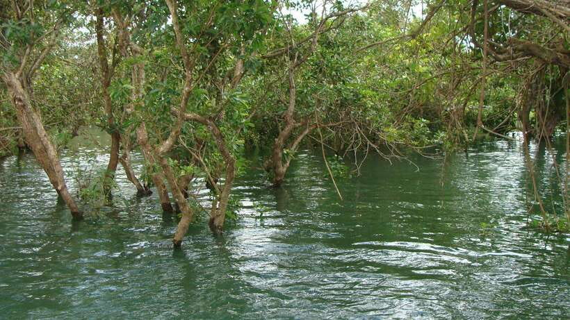 Siem Reap Floating Village Tour, Kompong Phluk Tour - Key highlights you’ll actually feel