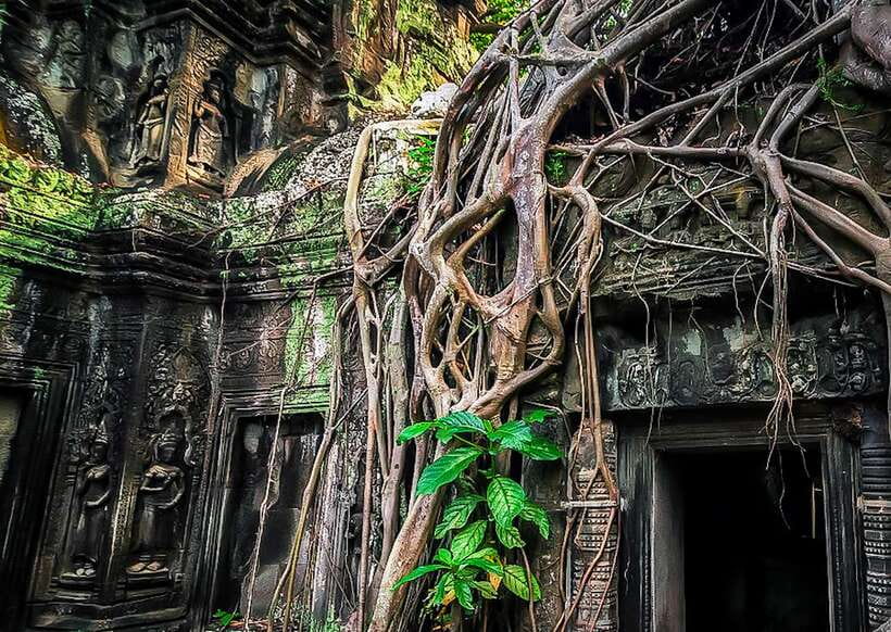 Siem Reap: Full-Day Angkor Wat Guided Tour with Sunset - Comfort and timing: how the day stays organized