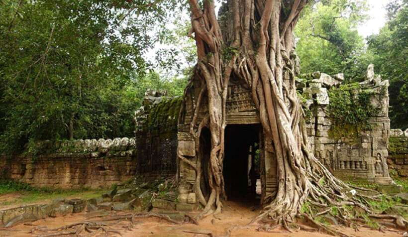 Siem Reap: Grand Circle Temples Tour With Private Tuk-Tuk - Who should book this Siem Reap Grand Circle tour