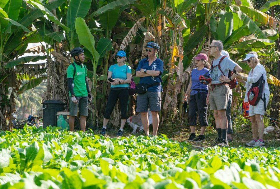 Siem Reap: Guided Countryside Bike Tour - Your start: pickup, bikes, and a safety briefing