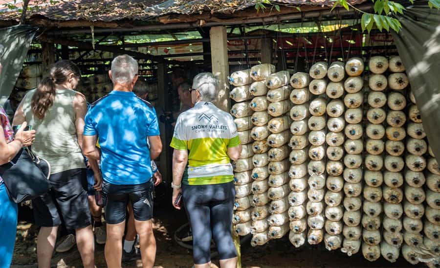 Siem Reap: Guided Countryside Bike Tour - Included extras that add up: water, fruit, and a village donation