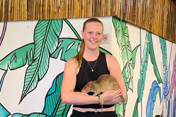 Siem Reap Guided Tour & Hero RATs at APOPO Visitor Center - Key things to know before you go
