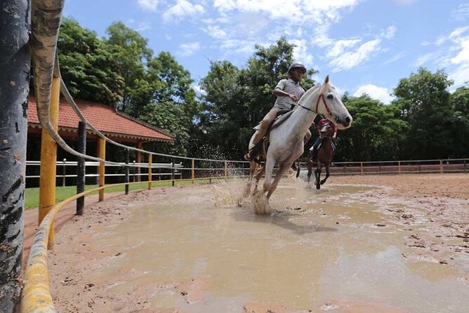 Siem Reap Happy Horse Riding Free Pick-up & Drop-off - Key things to know before you ride