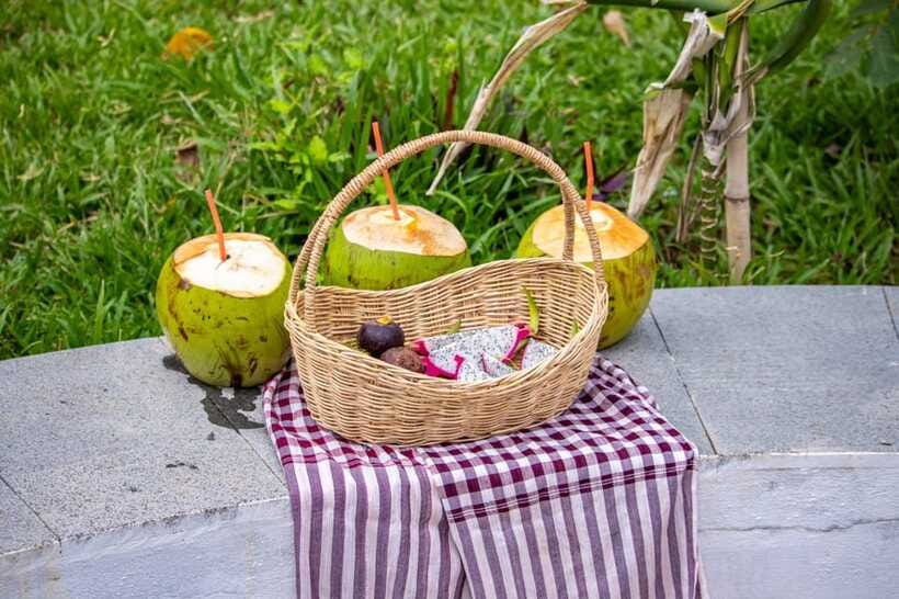 Siem Reap: Khmer Water Blessing by Monk and Lotus Farm Visit - Price and what $55 buys you in real value