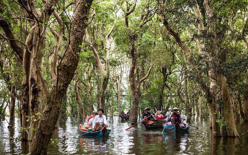 Siem Reap: Kompong Phluk Floating Village Half-Day Tour - Mangroves and the Optional Flooded Forest Rowing Boat ($5)