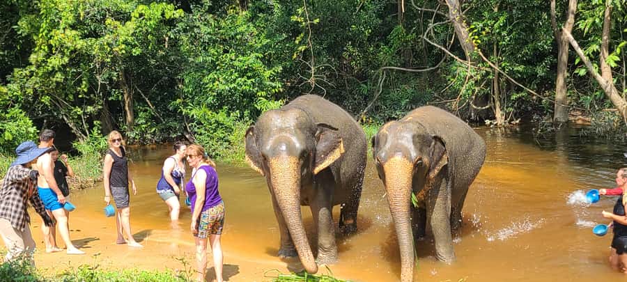Siem Reap: Kulen Elephant Forest Guided Tour - Khmer lunch at base camp: When the meal is part of the story