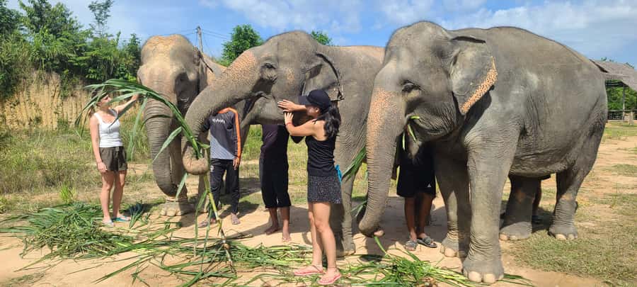 Siem Reap: Kulen Elephant Forest Guided Tour - Feeding elephants with handmade snacks: Close contact, guided and calm