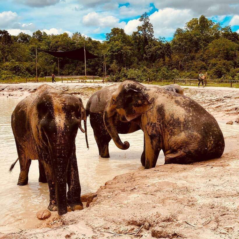 Siem Reap: Kulen Elephant Forest & Tonlesap Lake - Kompong Phluk on Tonle Sap Lake: stilt houses, floating-market vibes, and boat calm