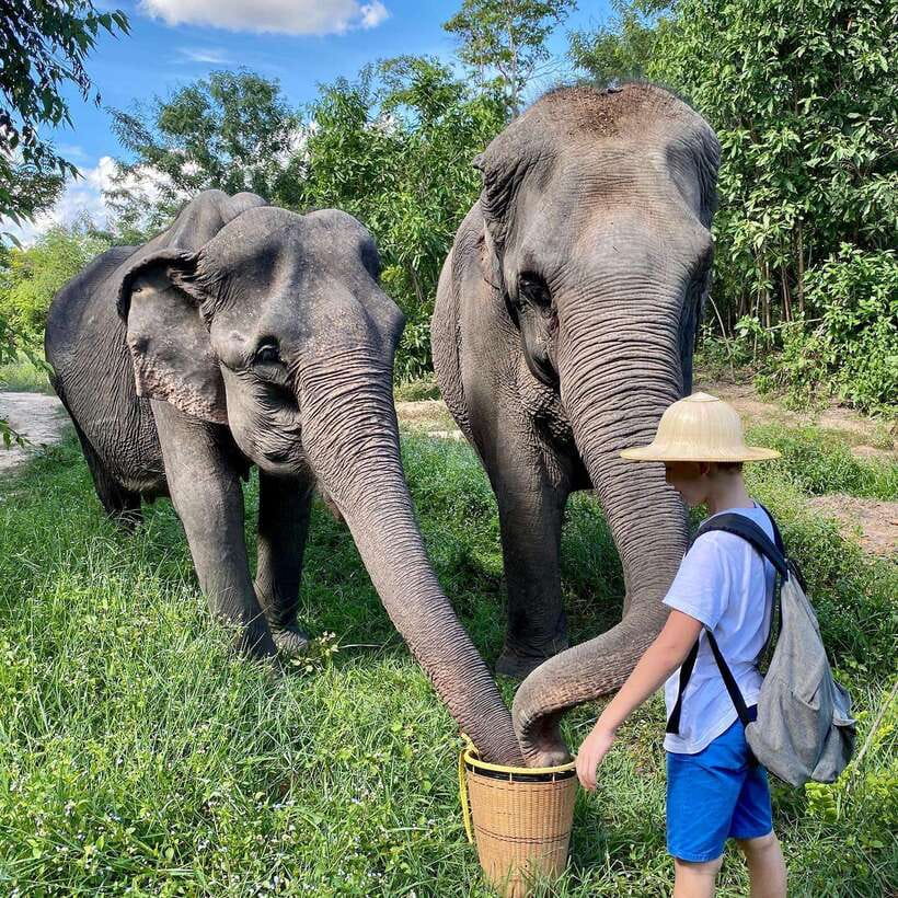 Siem Reap: Kulen Elephant Forest & Tonlesap Lake - What to pack and how to dress for a muddy, sunny jungle day