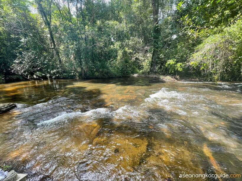 Siem Reap: Kulen Mountain Small Group Tour with Picnic Lunch - The small-group advantage: guides, pacing, and those extra human touches