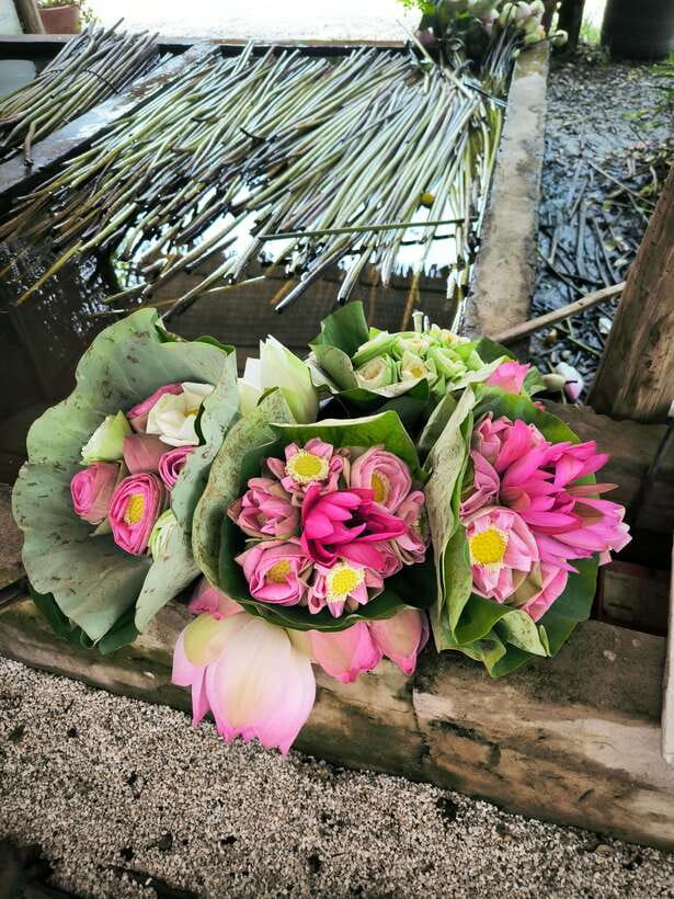 Siem Reap Lotus Silk Farm Discovery tour & Lake experience - What the total schedule feels like (and how to plan your day)