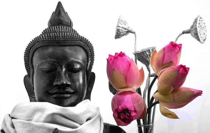 Siem Reap Lotus Silk Farm Discovery tour & Lake experience - Getting there from Biolab Café: easy start, real countryside feel