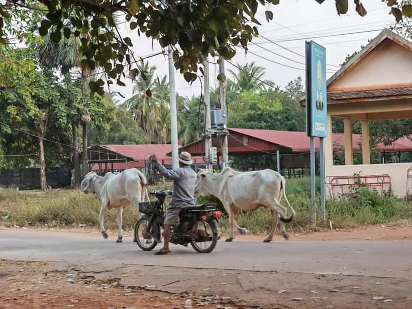 Siem Reap: Monk Blessings and Village Life Scooter Tour - Sunset Views Back Over West Baray Hill