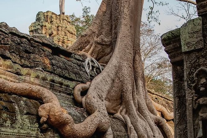 Siem Reap Private Full Day Angkor Wat Tour with Sunset or Sunrise - Sunrise vs sunset: the real difference is the day’s rhythm