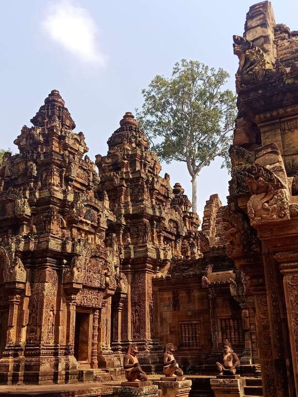 Siem Reap Private Tour: Angkor Wat Sunrise And Banteay Srei - The Temple Pass: The One Cost You’ll Need to Plan For