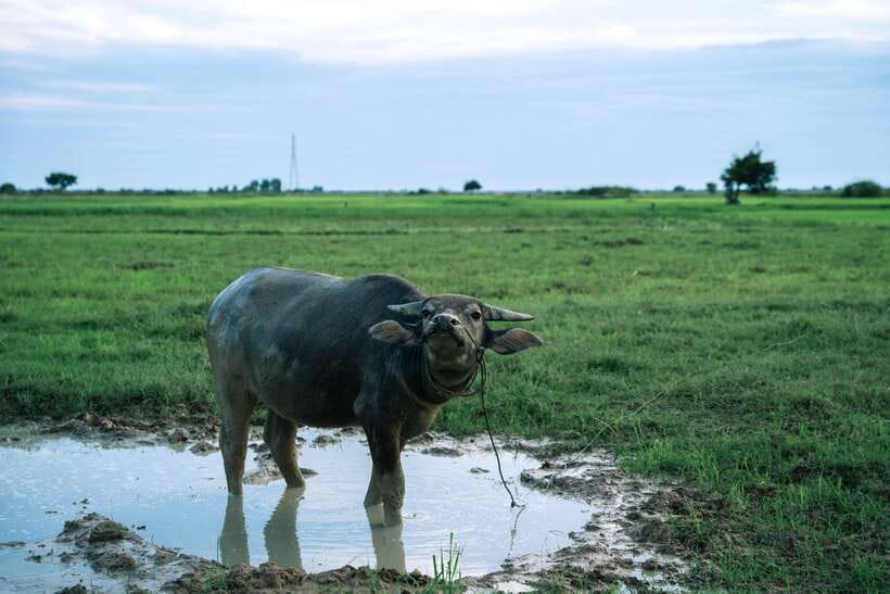 Siem Reap: Quad Bike Tour of Local Villages - Price and Value: Is $45 Worth It in Siem Reap?