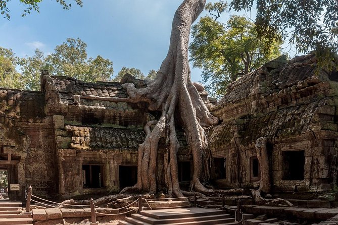 Siem Reap’s signature temples discovered - Stop 1: Angkor Wat and the Art of Reading Stone
