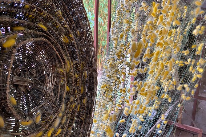 Siem Reap: Silk Farm & Countryside Offbeat Jeep Tour - Silk farm: seeing silk traditionally made by hands