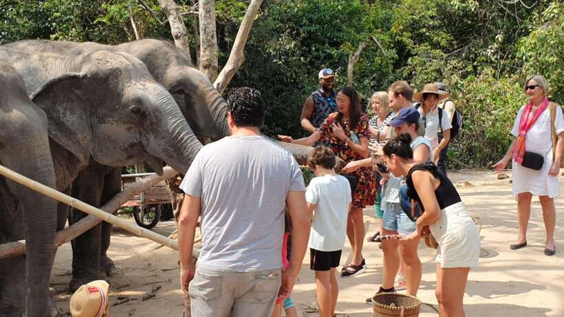 Siem Reap: Small Group Tour of Kulen Elephant Forest - Handmade Snacks and Forest Footsteps: What You’ll Actually Do