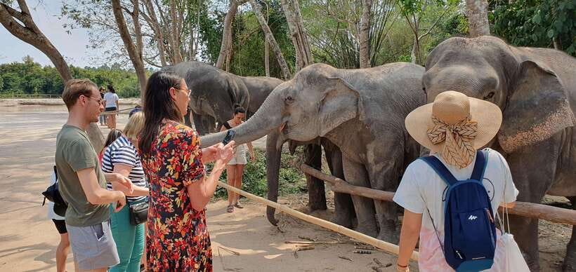 Siem Reap: Small Group Tour of Kulen Elephant Forest - Your Guide’s Role: Briefing, Humor, and Better Photos
