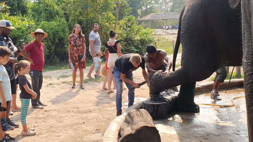 Siem Reap: Small Group Tour of Kulen Elephant Forest - Who This Tour Fits Best