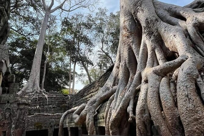 Siem Reap Temple Tuktuk Tour: Explore Angkor Wat and beyond. - How the tuktuk experience really works between temple stops