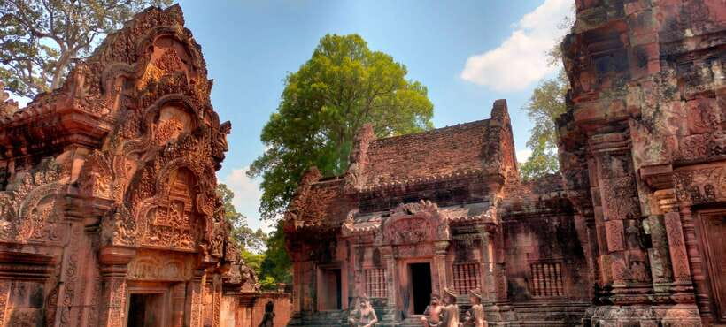 Siem Reap Tour Guide: Angkor Wat Sunrise Tour & Beng Mealea - Ta Prohm: the roots, the Hollywood vibe, and the value of guided pacing