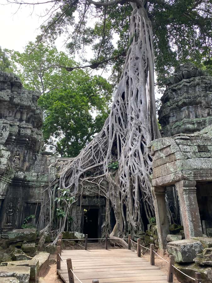 Siem Reap: Ultimate Angkor Wat Offbeat Experience by Jeep - Bayon: massive faces, best appreciated slowly