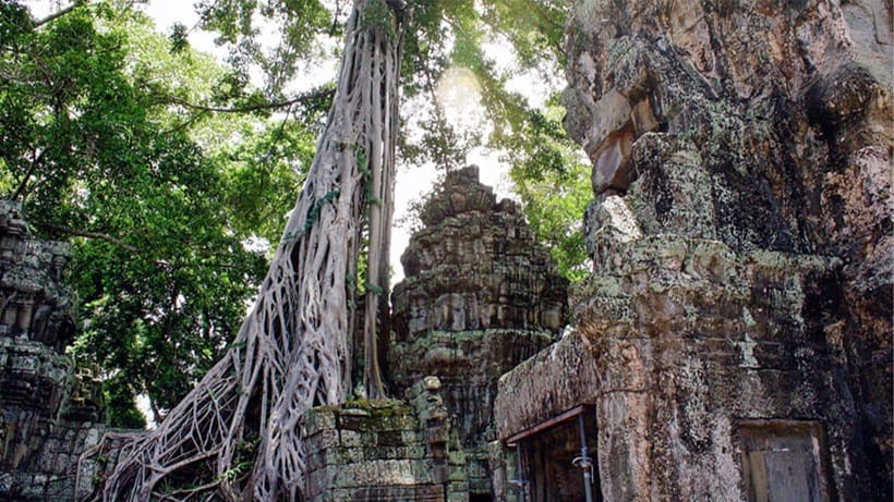 Small-Group Explore Angkor Wat Sunrise Tour with Guide - 4:20 a.m. Angkor Wat Timing That Actually Changes the Day