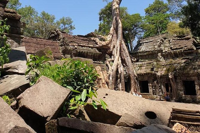 Special Three Days Angkor Tour - Day 2: Banteay Srei carvings plus Pre Rup, East Mebon, Ta Som, and Preah Khan