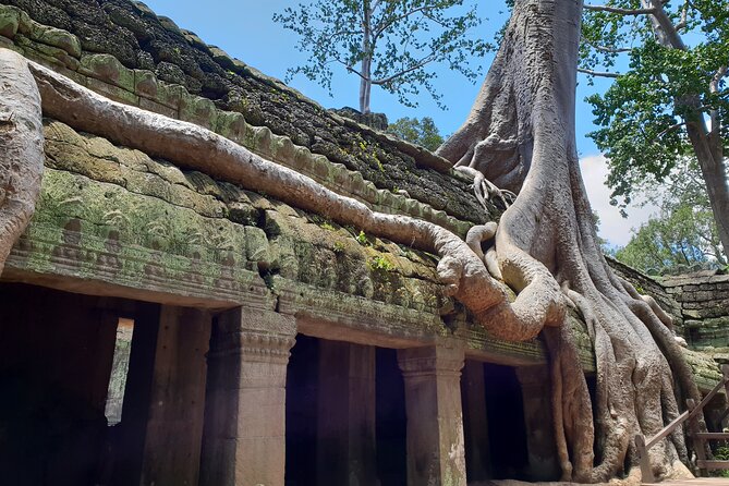 Special Three Days Angkor Tour - Getting the most from included perks: pickup, AC vehicle, and a cool drink