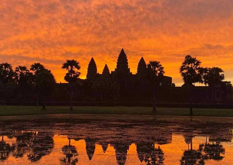 Sunrise at Angkor Wat and Small Tour with Tours Guide - Ta Prohm: When jungle turns into part of the temple