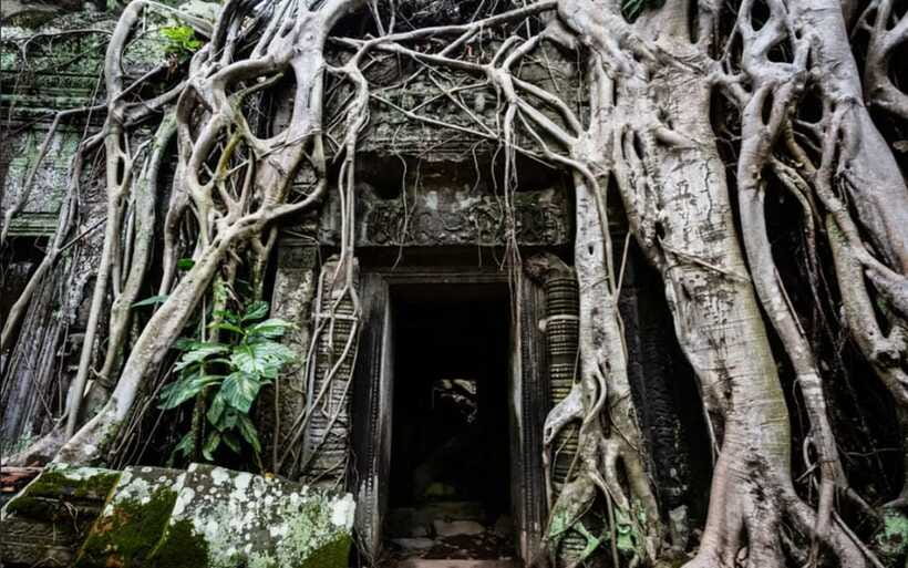 Sunrise at Angkor Wat and Small Tour with Tours Guide - Shared vs private: which option fits your style
