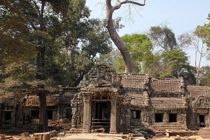 Sunrise Tour of Angkor Temples from Siem Reap - Tour pace, group size, and why your guide matters